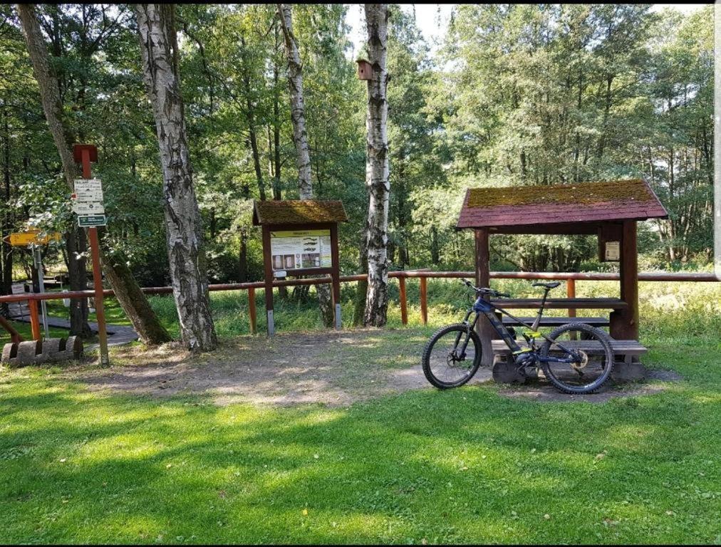 Landgasthof Grüner Baum Regnitzlosau Exterior foto