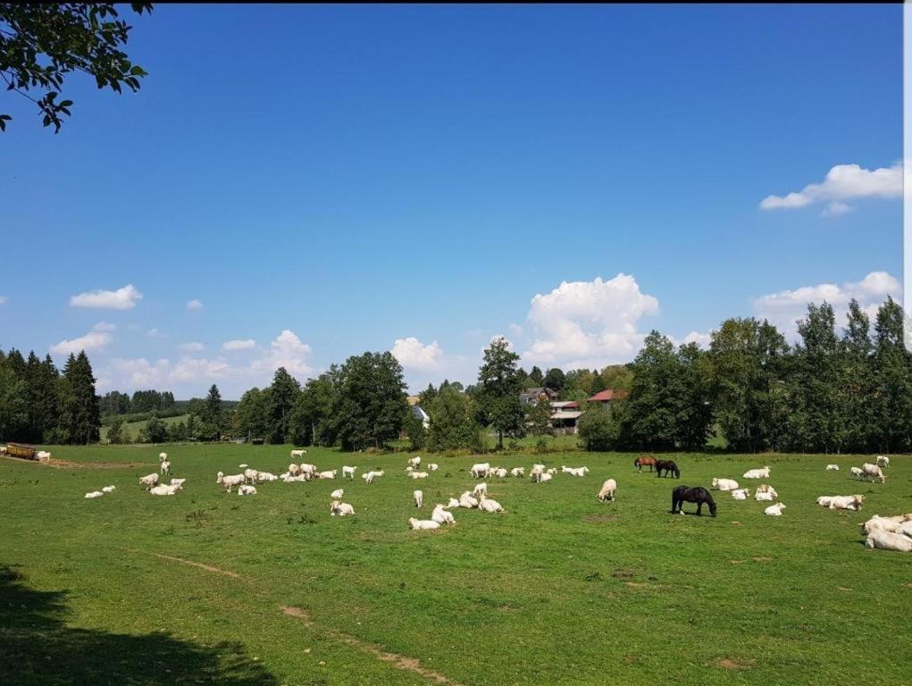 Landgasthof Grüner Baum Regnitzlosau Exterior foto